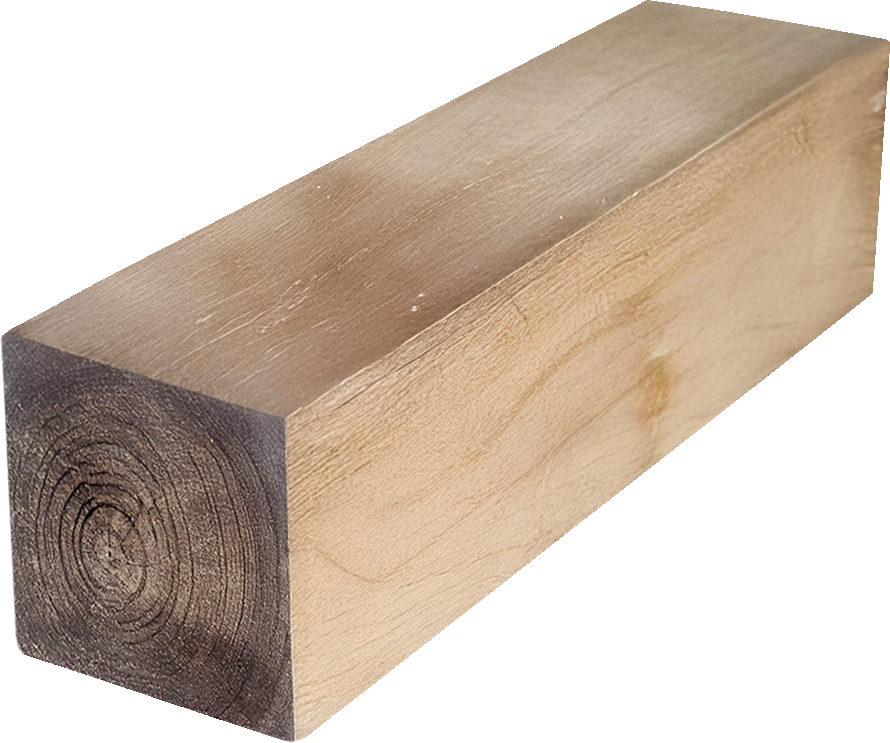 Blackbutt