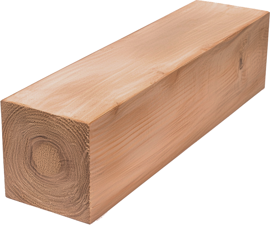 Brushbox