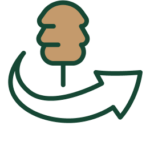 Sustainably Sourced Timber