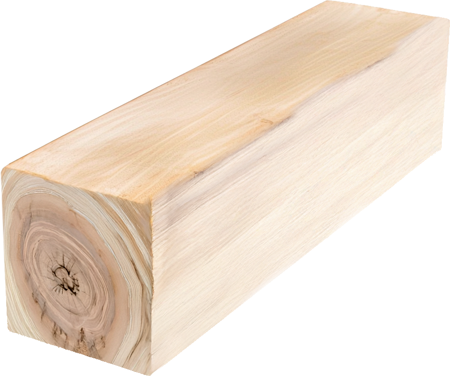 White Stringy Bark